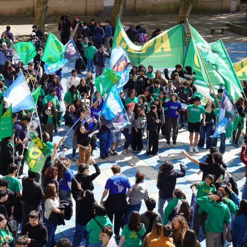 PLENARIOS DEL MUS Y LA CEPA